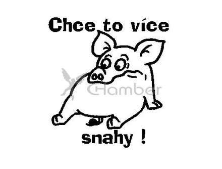 Pilgr - Chce to více snahy