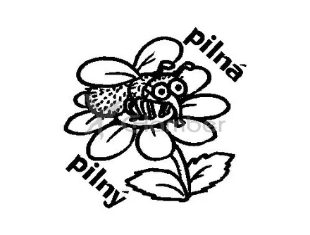 Pilgr - Pilný/pilná