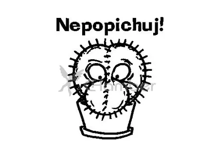 Pilgr - Nepopichuj