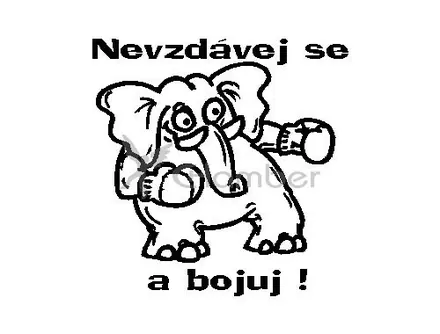 Pilgr - Nevzdávej se a bojuj